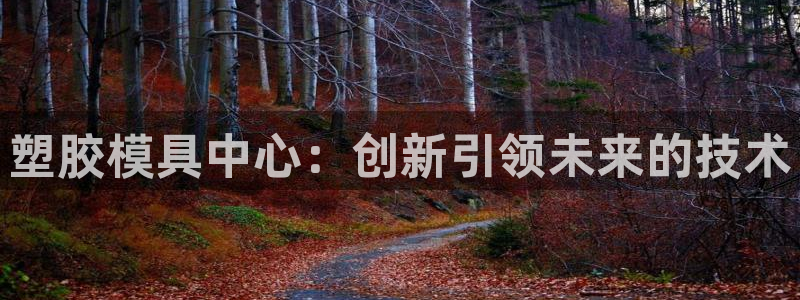 太阳gg注册平台页面：塑胶模具中心：创新引领未来的技术