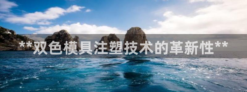 122cc太阳集成游戏官方网站：**双色模具注塑技术的革新性**