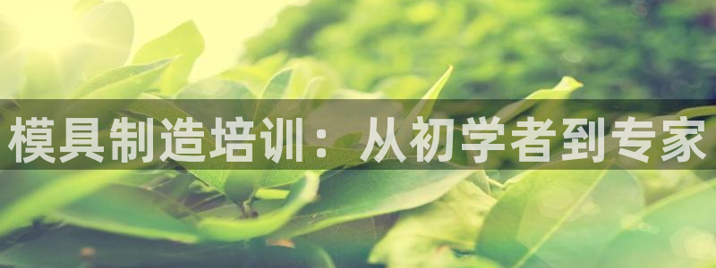 太阳集团游戏官方网址老字号