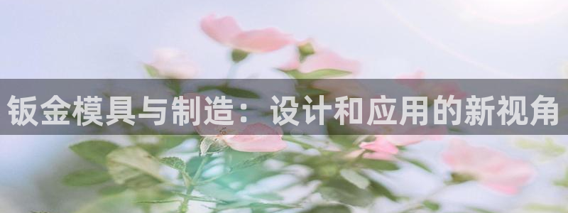 太阳集团董事长的儿子照片：钣金模具与制造：设计和应用的新视角