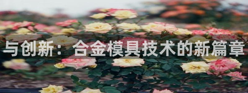 太阳集团娱乐官方网站