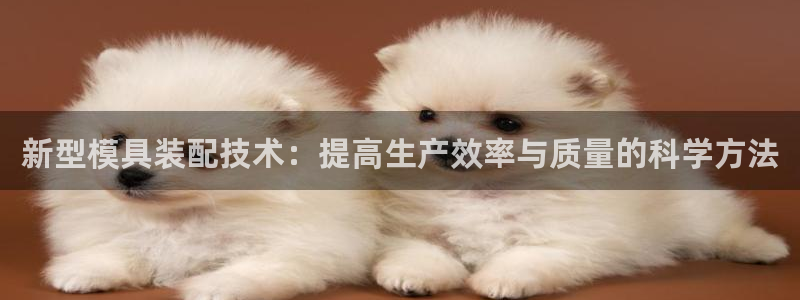 063801太阳集团备用网址：新型模具装配技术：提高生产效率与质量的科学方法