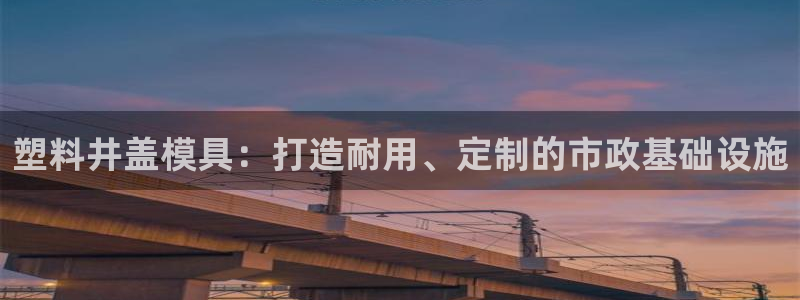 太阳诚集团APP在线观看：塑料井盖模具：打造耐用、定制的市政基础设施