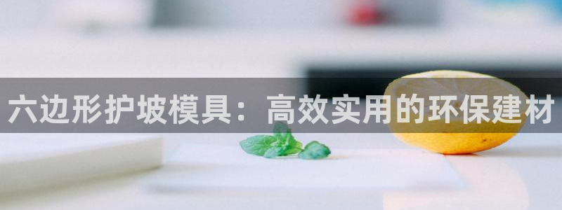 太阳成集团洗米华：六边形护坡模具：高效实用的环保建材