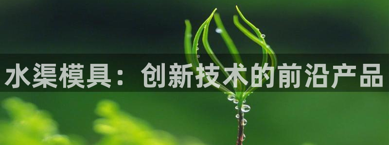 太阳1城集团网址查询：水渠模具：创新技术的前沿产品