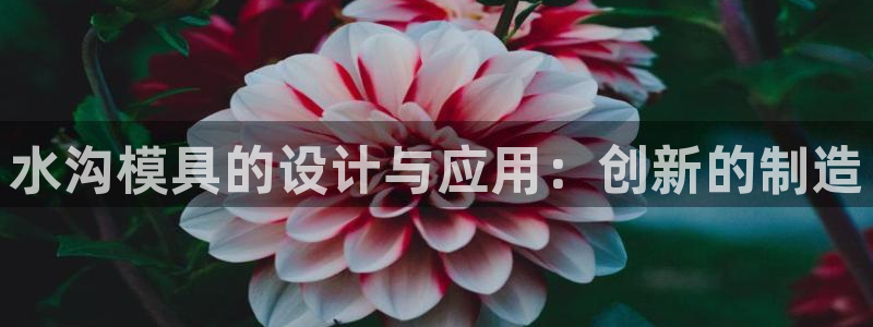 太阳成集团tyc122cc客服