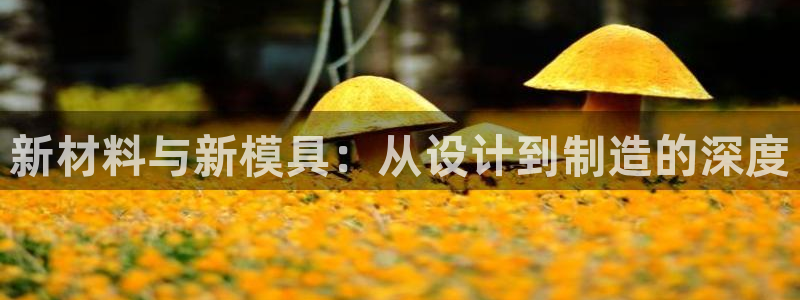 15vip太阳集团官网：新材料与新模具：从设计到制造的深度