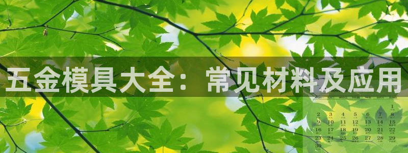122cc太阳集成游戏官方网站版：五金模具大全：常见材料及应用