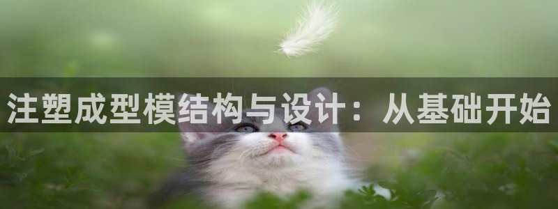 太阳集团董事长是谁呀：注塑成型模结构与设计：从基础开始