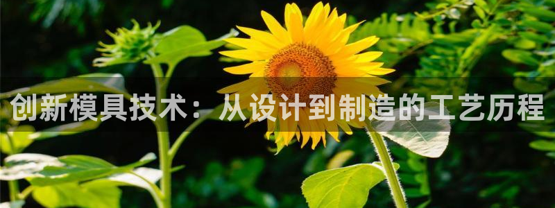 太阳gg打不开了吗：创新模具技术：从设计到制造的工艺历程