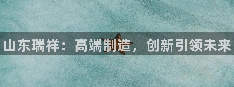 太阳集团电子游戏(中国)有限公司官网：山东瑞祥：高端制造，创新引领未来