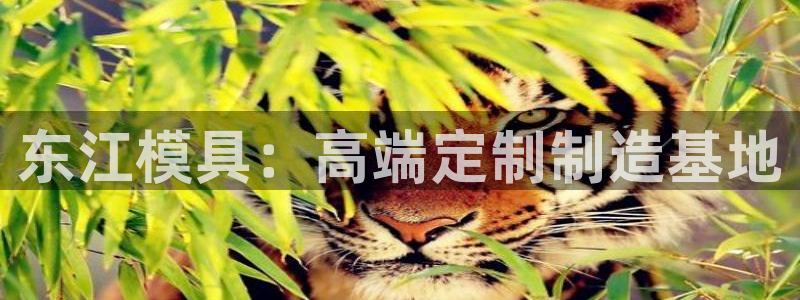 太阳gg平台：东江模具：高端定制制造基地