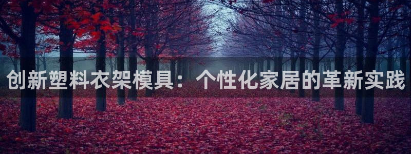 太阳集团网站多少：创新塑料衣架模具：个性化家居的革新实践