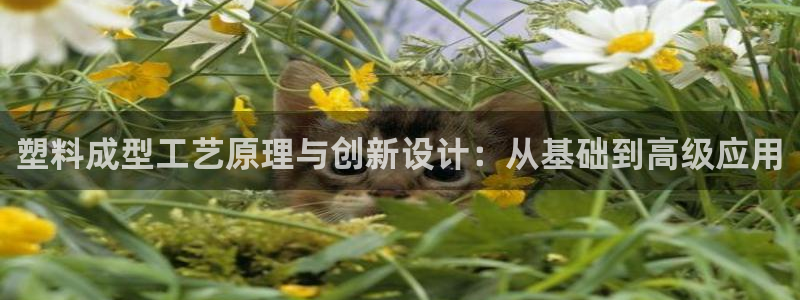 太阳诚集团有限公司是国企吗还是央企：塑料成型工艺原理与创新设计：从基础到高级应用