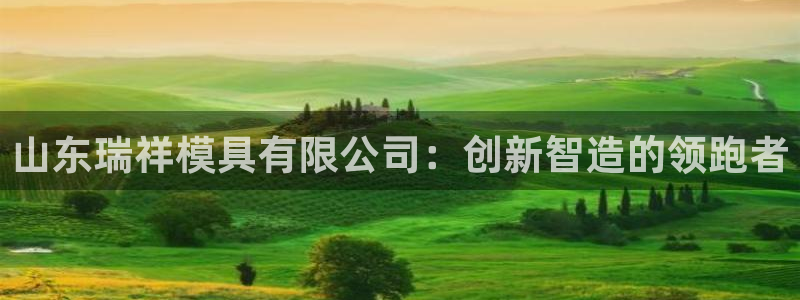 太阳诚集团是什么：山东瑞祥模具有限公司：创新智造的领跑者