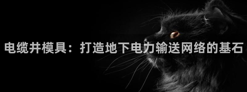 太阳成集团游戏合集：电缆井模具：打造地下电力输送网络的基石