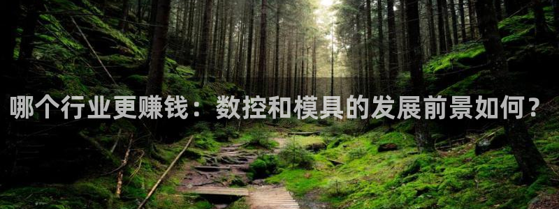 太阳集团娱乐官网8722：哪个行业更赚钱：数控和模具的发展前景如何？