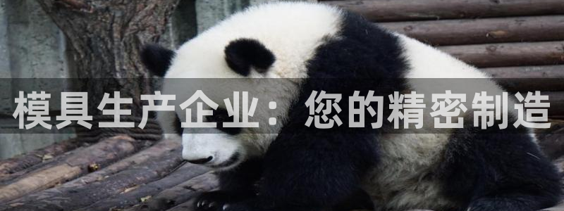 太阳集团城官方app下载