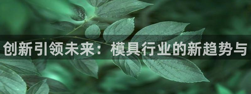 太阳2平台app下载：创新引领未来：模具行业的新趋势与