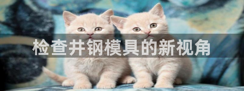 古天乐太阳网城：检查井钢模具的新视角