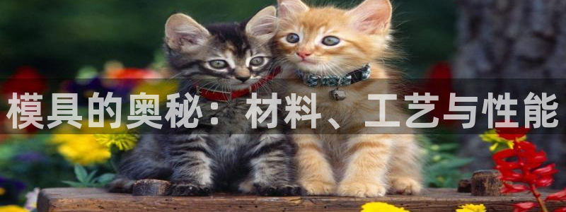 太阳集团电子游戏如何赚钱：模具的奥秘：材料、工艺与性能